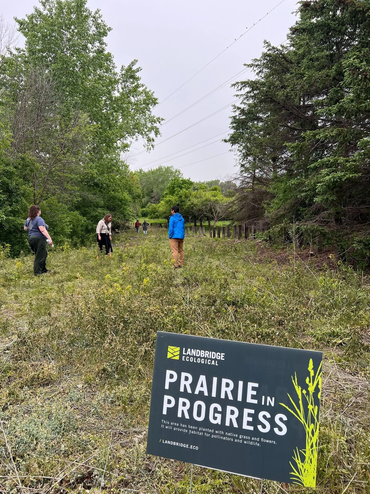 A Landbridge Ecological "Prairie in Progress" sign standing in the prepared lot